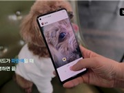 Google for Startups châu Á - Thái Bình Dương tập trung hỗ trợ các startup về AI